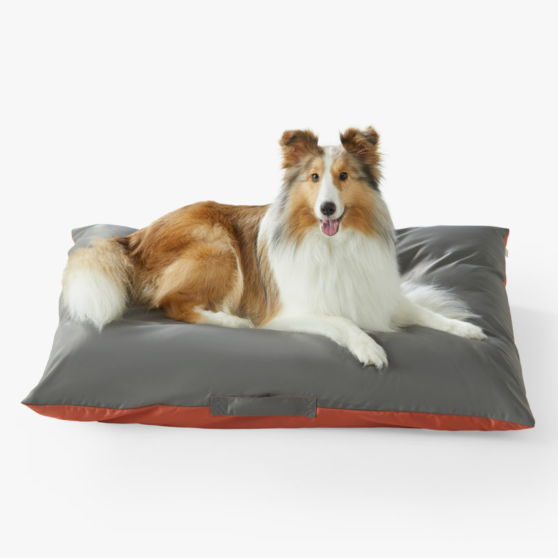 Lit pour animaux Eelika, Gris