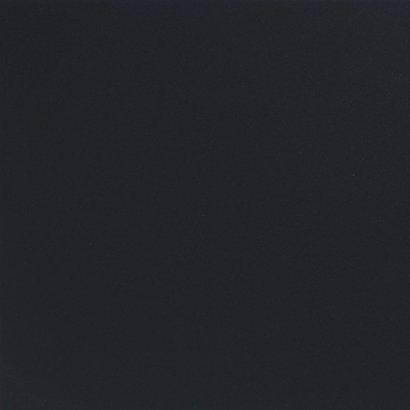 True Story 12'' W x 12'' L Porcelain Throughbody Wall & Floor Tile, Black