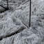 Solid Colour Area Rug-1237897562