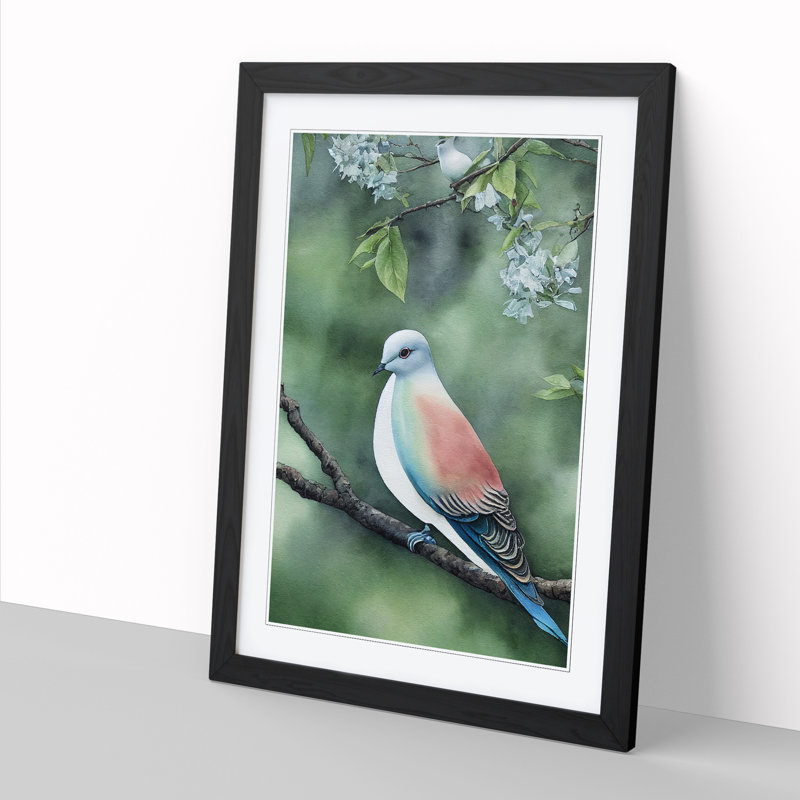 Watercolour Dove Bird Vol.1 - Single Picture Frame Print, 64cm H x 46cm W x 2cm D, Black