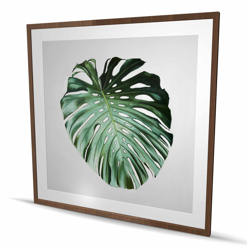 Monstera Leaf Framed Matted Print - Green Botanical Decor