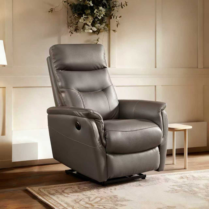 Ellexus 77cm Wide Standard Recliner