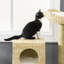 Arbre à chat tissé en forme de quenouille pour la tour de chats d'intérieur avec condo et lit