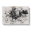 Lion Vol.5 - Wrapped Canvas-61882212