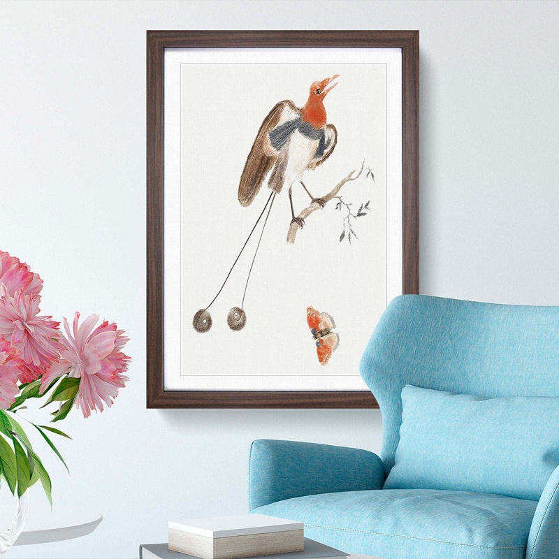Bird Of Paradise And Butterfly by Johan Teyler - Single Picture Frame Painting, Walnut Framed, 33cm H x 24cm W x 2cm D