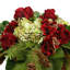 Hydrangea and Rose Holiday Arrangement