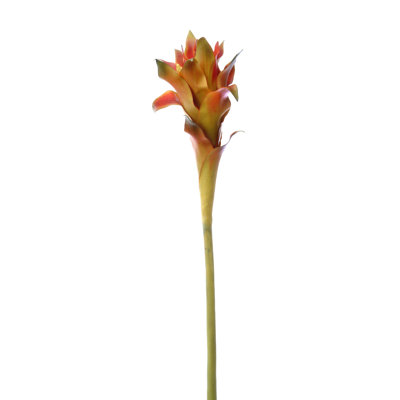 Arrangement