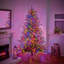 7.5' H Christmas Tree