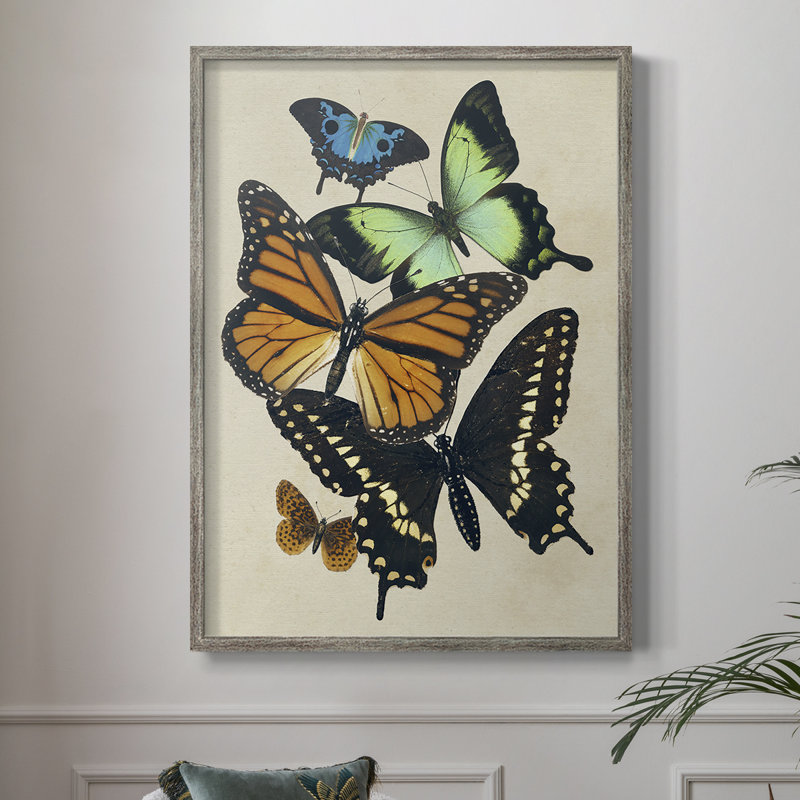 Collaged Butterflies I Framed Print - Solid Wood