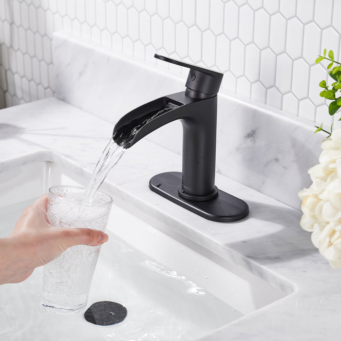 FORIOUS Single Hole Bathroom Faucet with Drain Assembly & Reviews | Wayfair