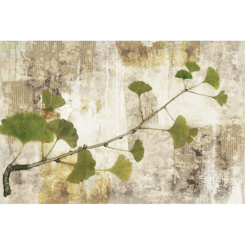 Gingko Branch - Wrapped Canvas Art Prints, 30cm H x 46cm W x 3.8cm D