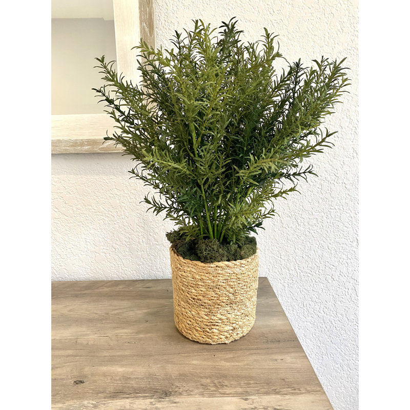 Plante artificielle en panier 16 po