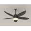 Ensemble d'éclairage pour ventilateur de plafond extérieur de 42 pouces avec télécommande