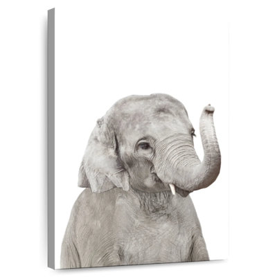 Adorable bébé éléphant Brampt