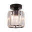 Blandinsville Glass Flush Mount-1721388533