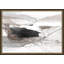 Misted Valley Print by Thom Filicia