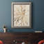 Parchment Coral II - reproduction d'art sur toile encadrée-1287654497