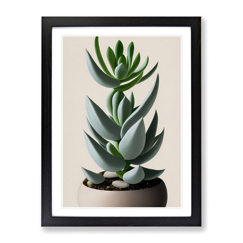 Succulent Plant - Wall Art, Black Framed Paper, 66cm H x 48cm W, White