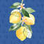 Citron Traditions V par Dina June - impression sur toile tendue-586395067-578072827-578072813