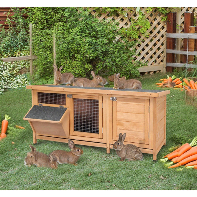 Cage à lapin