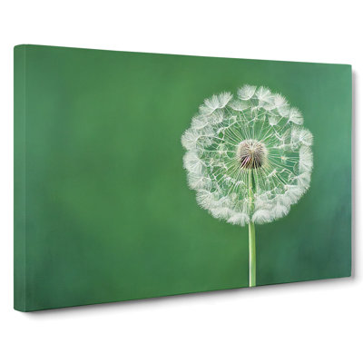 Excellent Dandelion Flower - Wrapped Canvas Print