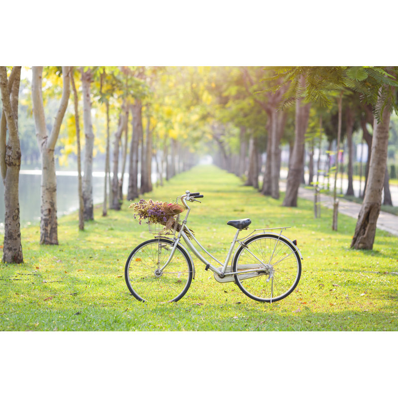 Vieux vélo sur l'herbe verte, H 8 po x l 12 po