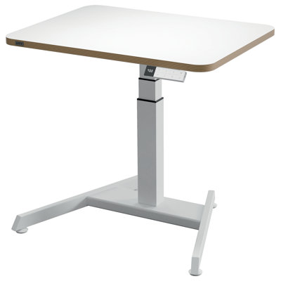Ergo Adjustable Metal Base Standing Desk
