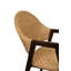 Upholstered Arm Chair