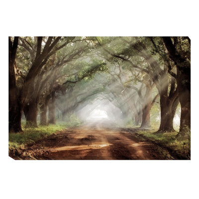 " Evergreen Plantation " by Mike Jones