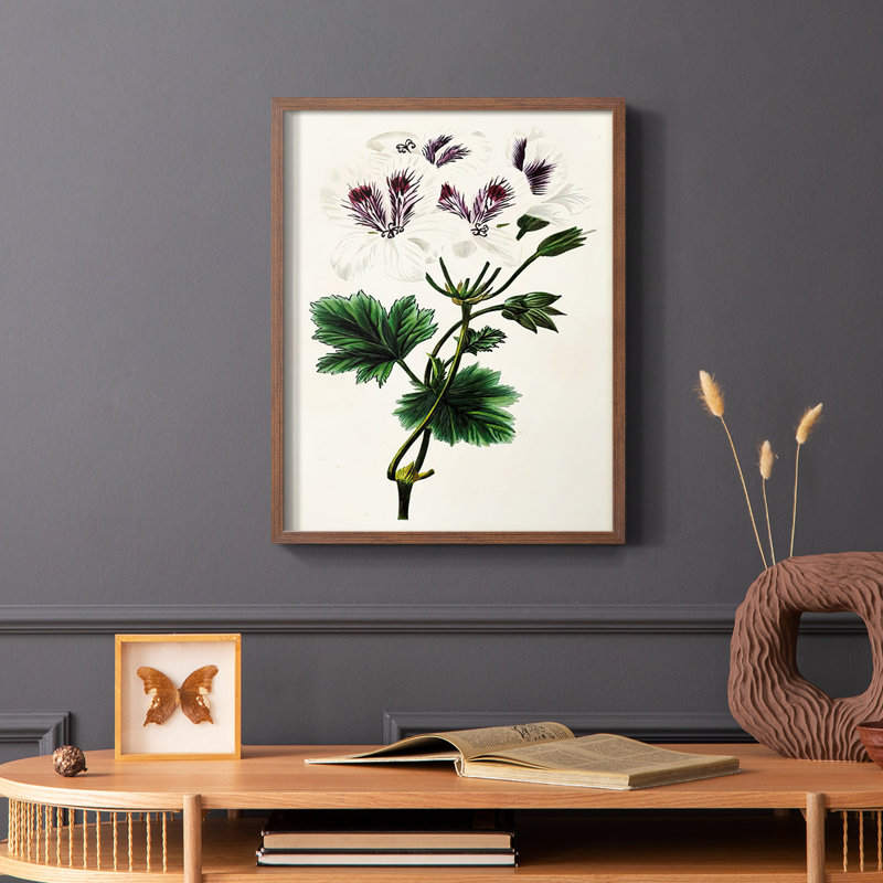 Reproduction encadrée Antique Floral Fangle IX - bois massif, Brun, H 14 po x l 11 po