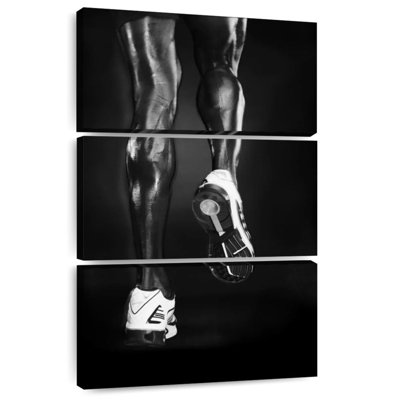 Sireci Monochrome Legs, 57'' H x 36'' W