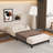 LowBed Frame - Heavy Duty Metal -Bed Frame In Matte Heavy Duty With Steel Slats, Easy Assembly, Noise-Free, Non-Slip, No Box Spring Needed-554143286