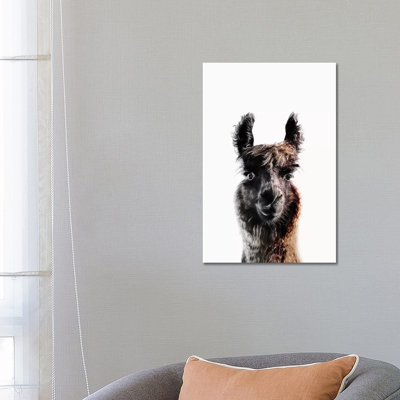 Lama George 1 Piece Wrapped Canvas Wall Art