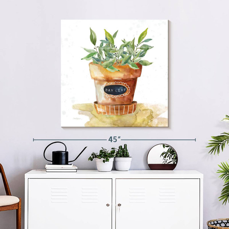 Harnek Potted Bay Leaf, 30" H x 30" W
