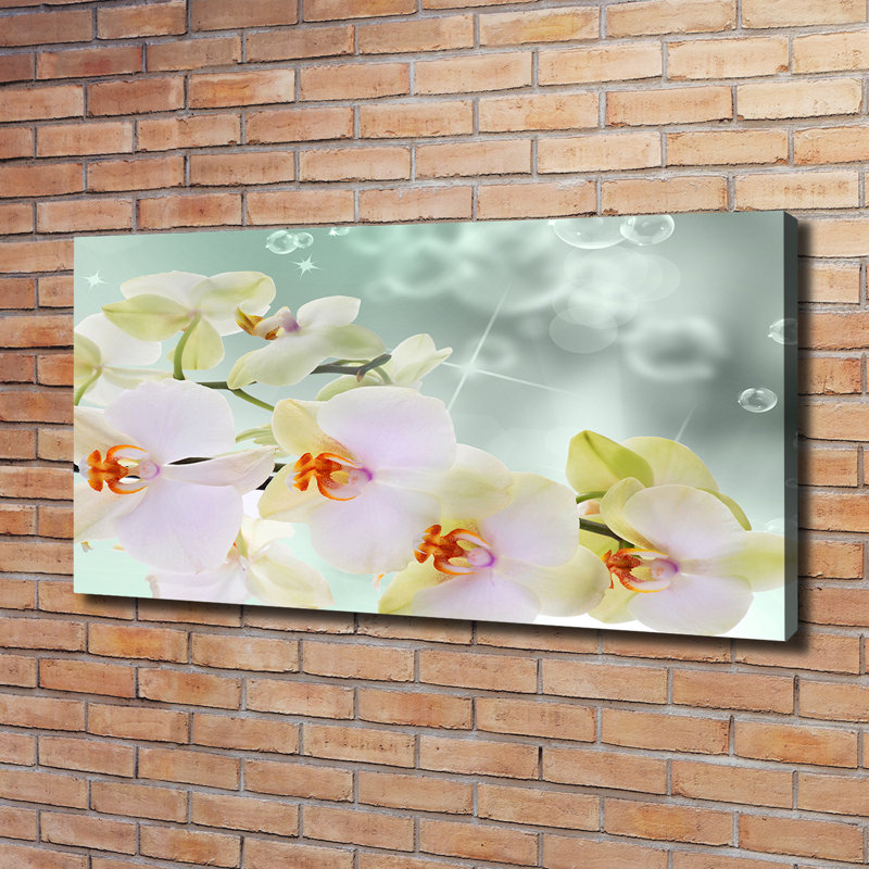 White Orchid - Wrapped Canvas Print