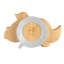 Tiny Dining - Children's Bamboo Suction Dinosaur Plate-63342579