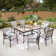 Argyri 6 - Person Metal Patio Dining Set with Rectangular Table