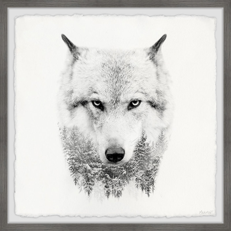 White Wolf - Single Picture Frame Print, 81cm H x 81cm W x 3.81cm D