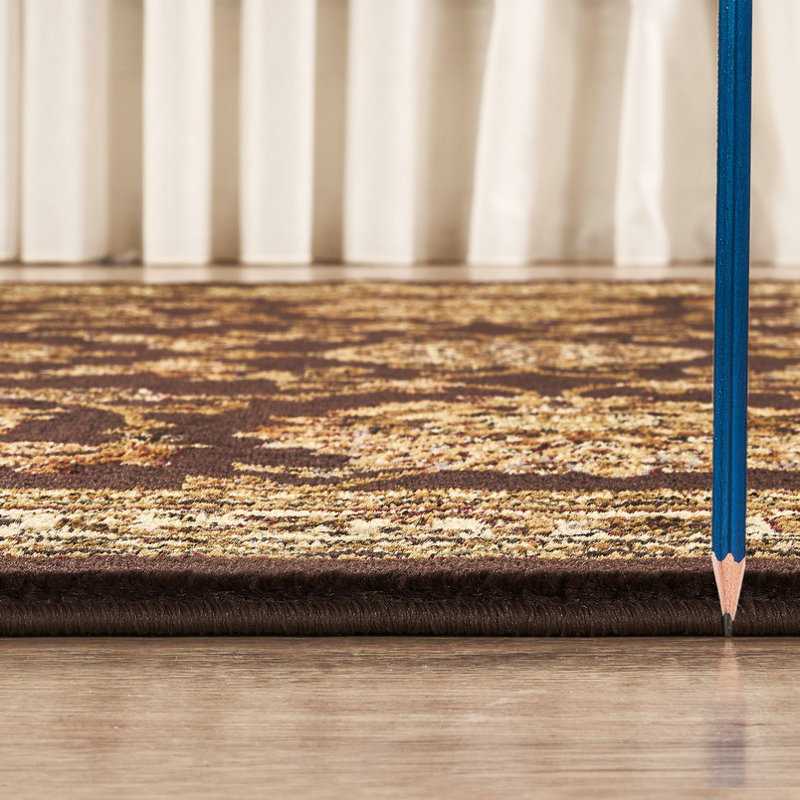 Eita Oriental Brown Indoor Area Rug, 2'x3'