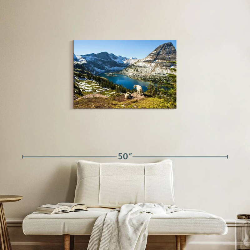 Glacier Park Goats, H 20 po x l 30 po
