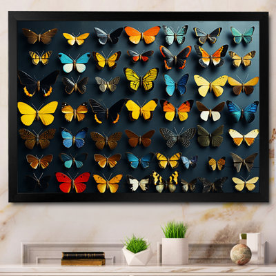 Colorful fluttering butterflies collage - Butterflies Wall Art For Living Room Butterfly Canvas Print