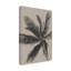 Palmier sur toile-584816040