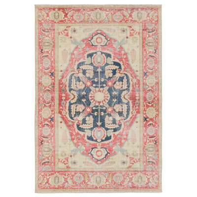 Zendy Oriental Indoor Rug