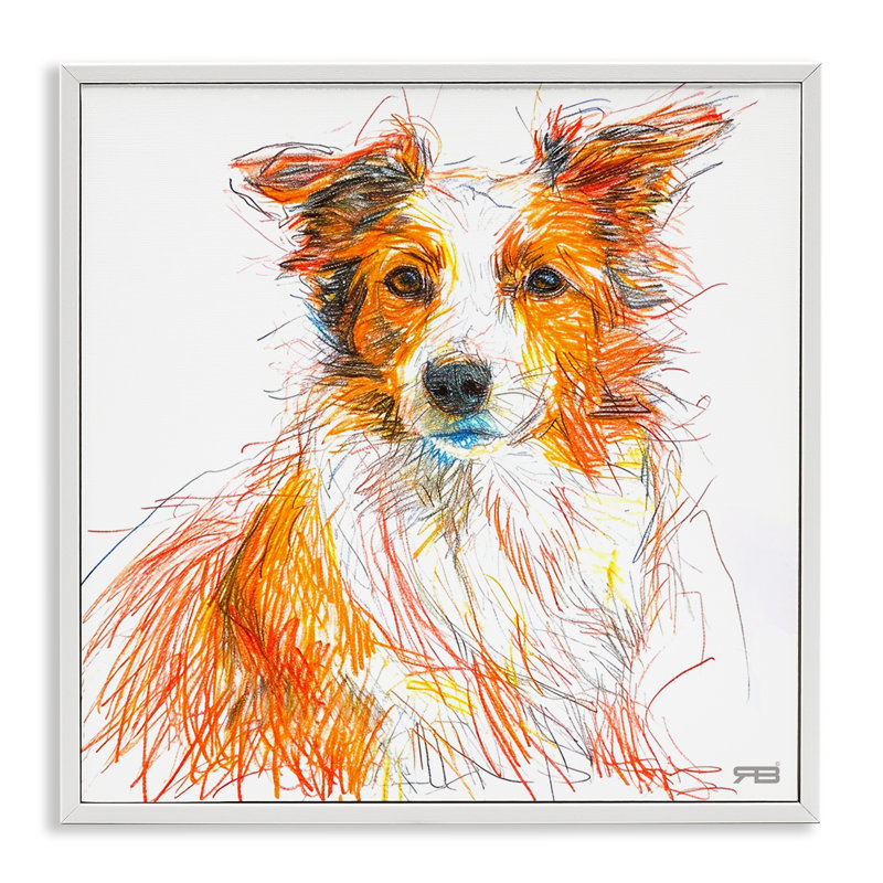 «Collie», croquis de giclée par Roozbeh Bahramali, Giclée encadrée blanc bord de mer, H 24 po x l 24 po