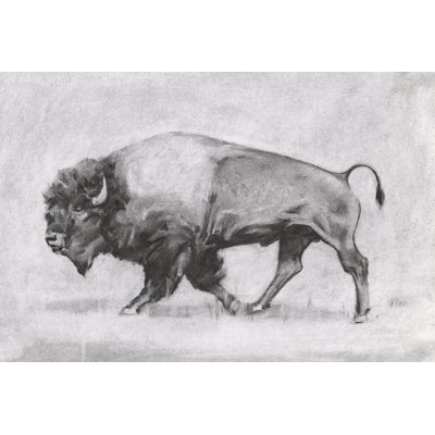 Étude de bisons sauvages II