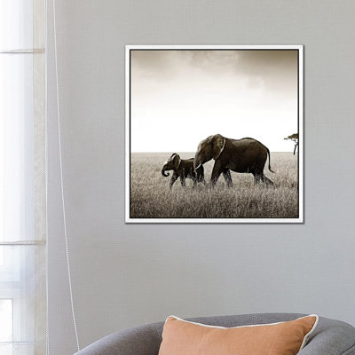 Bonded Elephant by Klaus Tiedge - Print on Canvas
