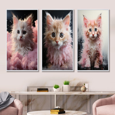 Bain pour chaton