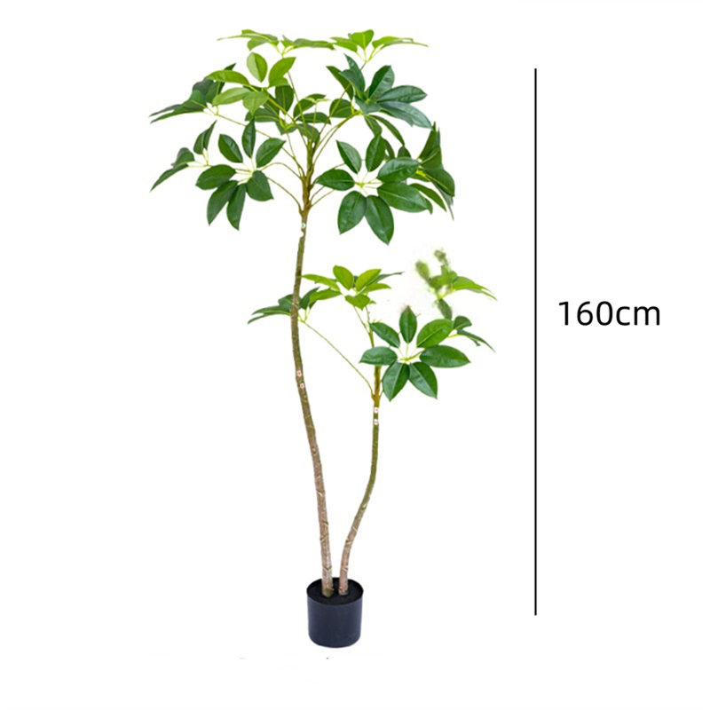 160cm Plant
