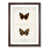 Walnut Framed selected