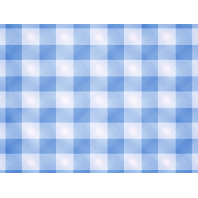 Gingham Duvet Cover